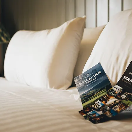 The - The Collection Group