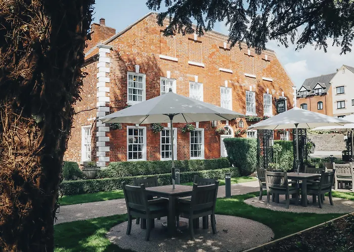 The - The Collection Group 3*