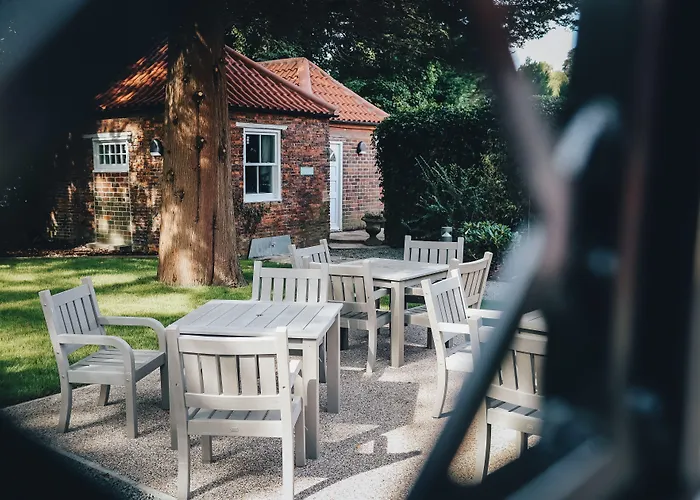 The - The Collection Group 3*