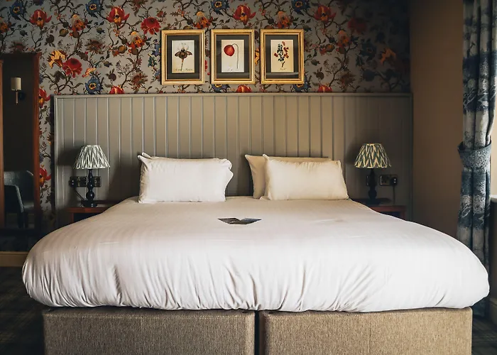 The - The Collection Group Mini-hôtel