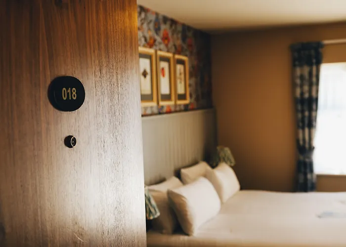 The - The Collection Group 3*